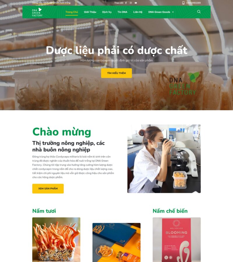 Mẫu website công ty